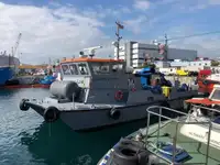 Catamaran de vânzare
