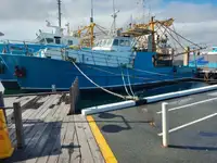 Trawler de vânzare