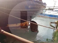 Altele de vânzare