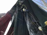 Nava de pescuit tip trauler de vânzare