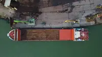 Nava de transport marfă vrac de vânzare