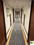 Navă de croazieră de vânzare