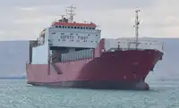 Ro-Ro ship de vânzare