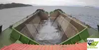 Barjă de vânzare