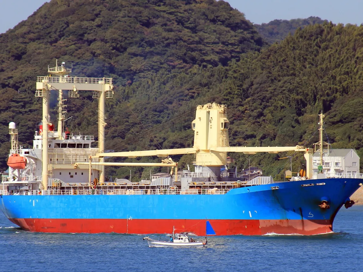 General Cargo/Multi-purpose de vânzare