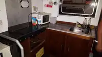 Catamaran de vânzare