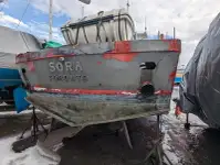 Ambarcațiuni de lucru de vânzare