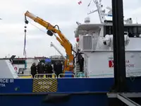Catamaran de vânzare
