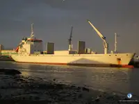 Nava refefer de vânzare