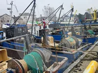 Nava transportoare de pește viu de vânzare