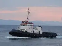 Remorcher de vânzare