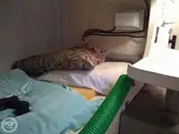 Șalupă de vânzare
