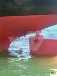 Nava de transport marfă vrac de vânzare