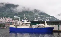 Nava de pescuit cu plase purseine de vânzare