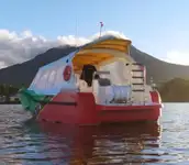 Navă de feribot de vânzare