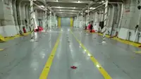 Ro-Ro ship de vânzare