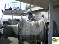 Navă Ro-Ro de vânzare
