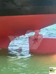 Nava de transport marfă vrac de vânzare