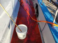 Navă de feribot de vânzare