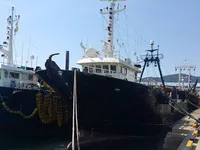 Nava de pescuit tip trauler de vânzare