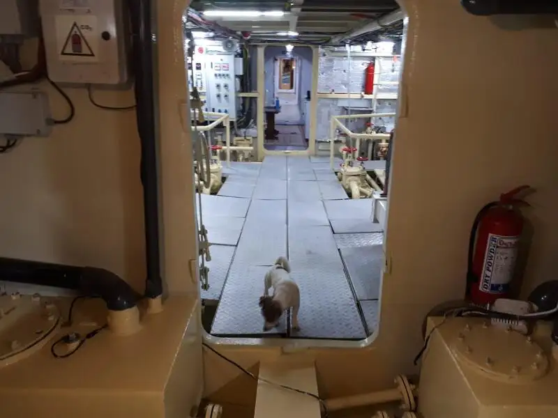 General Cargo/Multi-purpose de vânzare