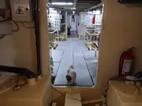 General Cargo/Multi-purpose de vânzare