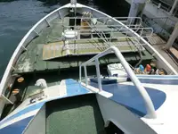 Navă de croazieră de vânzare