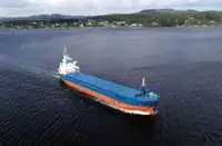 Nava de transport marfă vrac de vânzare