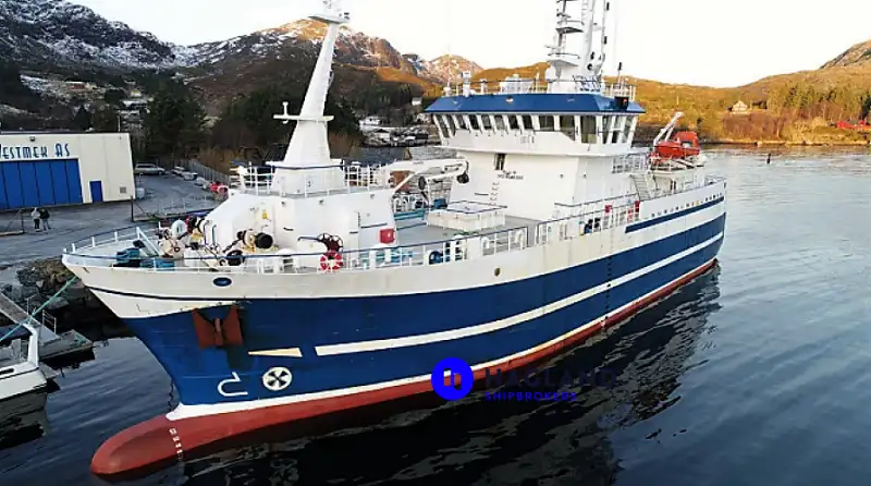 Nava de pescuit cu linii lungi de vânzare