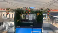 Navă de croazieră de vânzare
