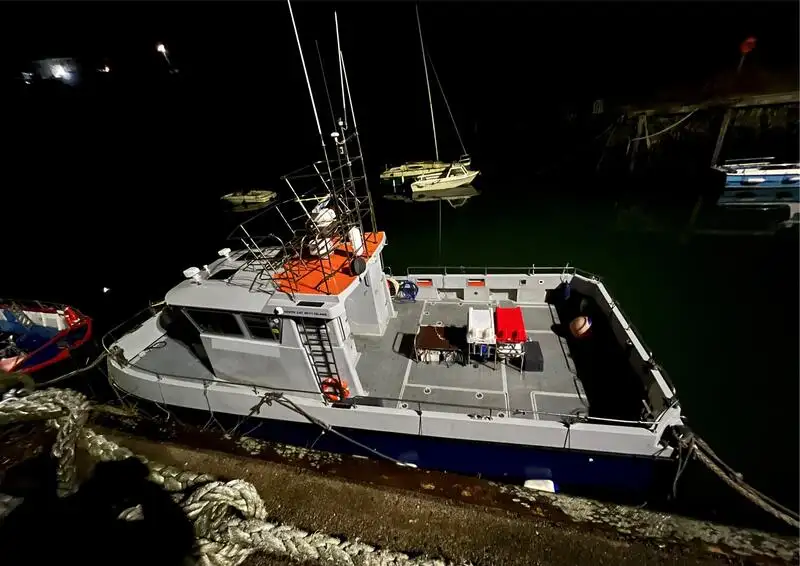 Catamaran de vânzare