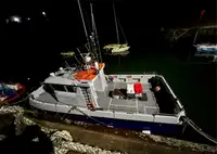 Catamaran de vânzare