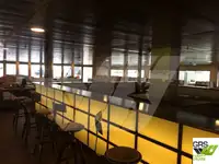 Navă Ro-Ro de vânzare
