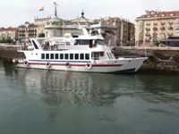 Navă de feribot de vânzare