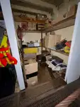 Dragă de vânzare