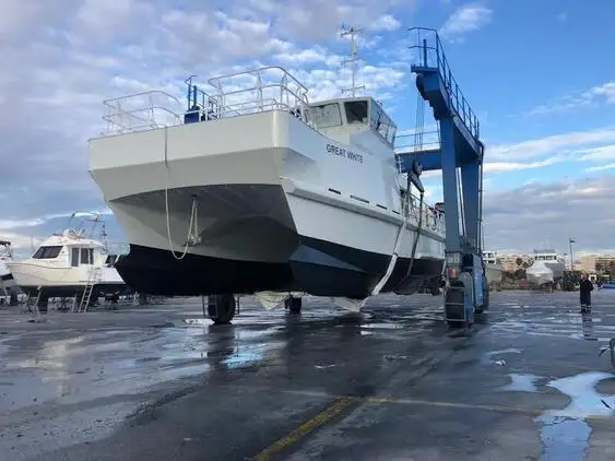 Catamaran de vânzare