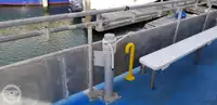 Catamaran de vânzare