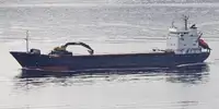 Nava de transport marfă vrac de vânzare
