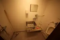 Nava de transport marfă vrac de vânzare