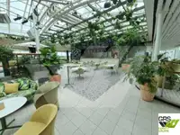 Navă de croazieră de vânzare