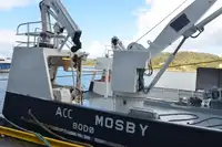 Nava container de vânzare