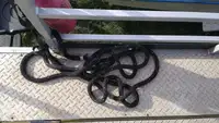 Nava container de vânzare