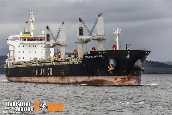 Nava de transport marfă vrac de vânzare
