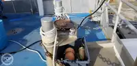 Catamaran de vânzare