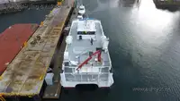 Catamaran de vânzare