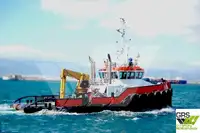 Bărci de lucru de vânzare