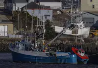 Nava de pescuit cu plase purseine de vânzare