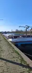 Nava de transport marfă vrac de vânzare