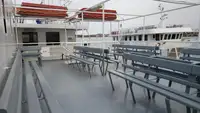 Navă RoPax de vânzare
