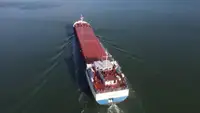 Nava de transport marfă vrac de vânzare